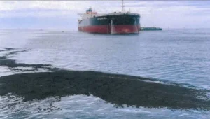 Santos has pleaded guilty to the 2022 oil spill and will have to pay just under -20,000 in penalties. Supplied