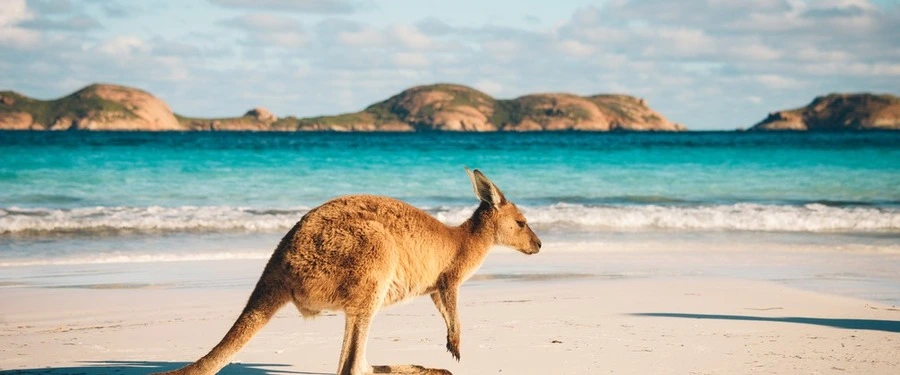 Australia Props Up Key Transition Industries With Tax Breaks