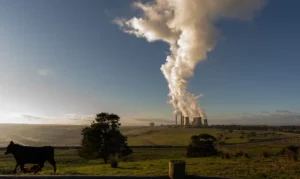 Coalition nuclear plan hides a 2bn tonne ‘carbon bomb’ that puts net zero by 2050 out of reach, new analysis shows