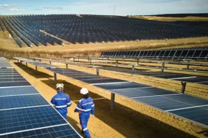The new solar park complex consists of five facilities with a total capacity of 263 MW Photo Credit TotalEnergies