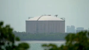 A design fault in the Darwin LNG tank caused a major methane leak. (ABC News Tristan Hooft)