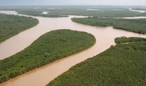 Geliga-1 – the gas discovery sourced by sandstones