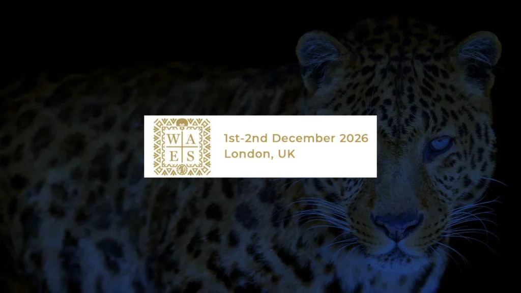 Wider-African-Energy-Summit-2026-WAES2026