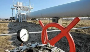 Egypt Approves Oil and Gas Deals Including Perenco North Sinai Project