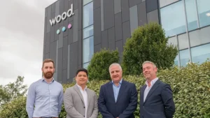 wood