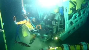 Teal-West---Riser-Installation