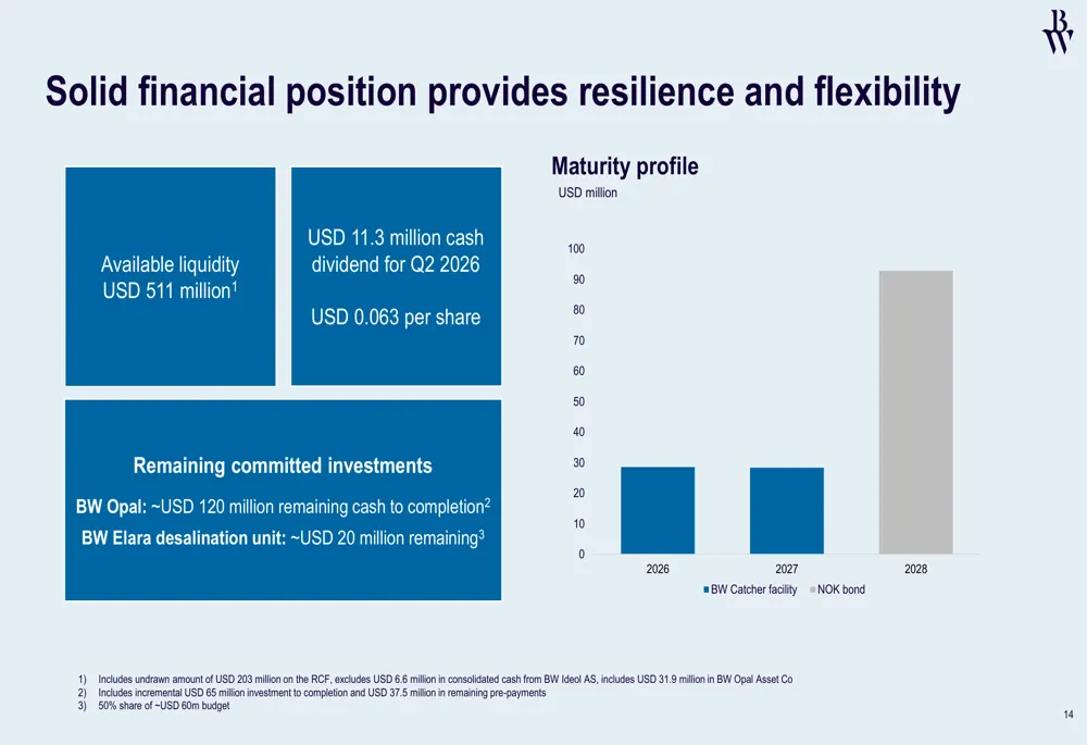 The debt maturity profile