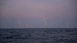 DeepOcean and TFKable Group to develop integrated inter-array cable offering with cable-laying vessel